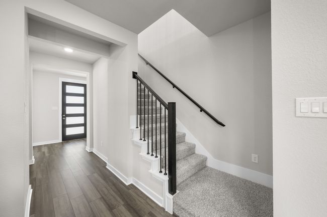 6_8921 Acorn- ENtry-1 | Image 4