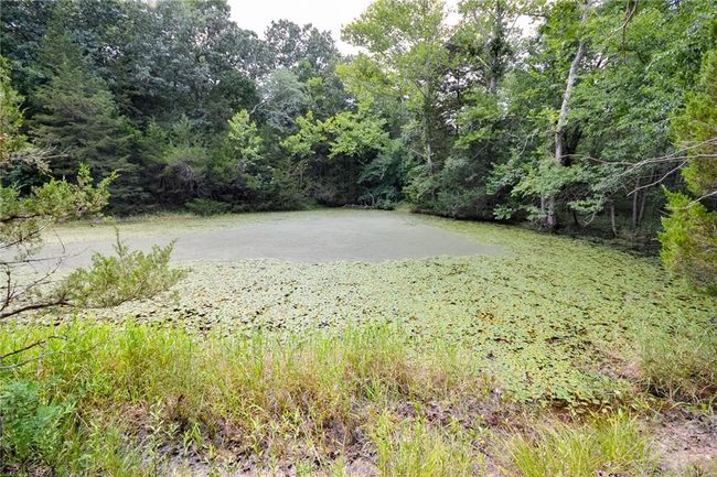 000 Us Highway 65, Home with 0 bedrooms, 0 bathrooms and null parking in Cross Timbers MO | Image 14
