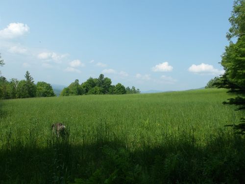 4 &amp; 5 Forest Lane, Lyndon, VT, 05851 | Card Image