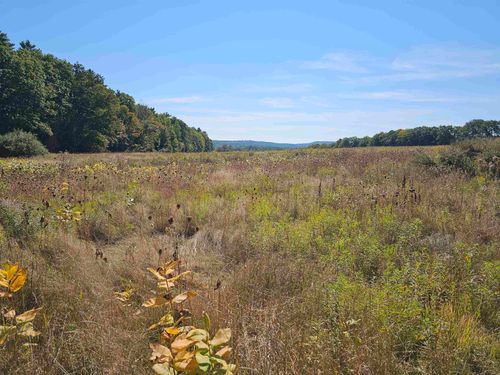 0 Shaw Rd, Barnstead, NH, 03218 | Card Image