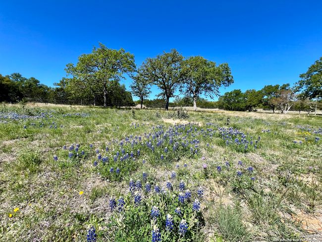 163 Northridge Dr W, House other with 2 bedrooms, 3 bathrooms and null parking in Mountain Home TX | Image 29