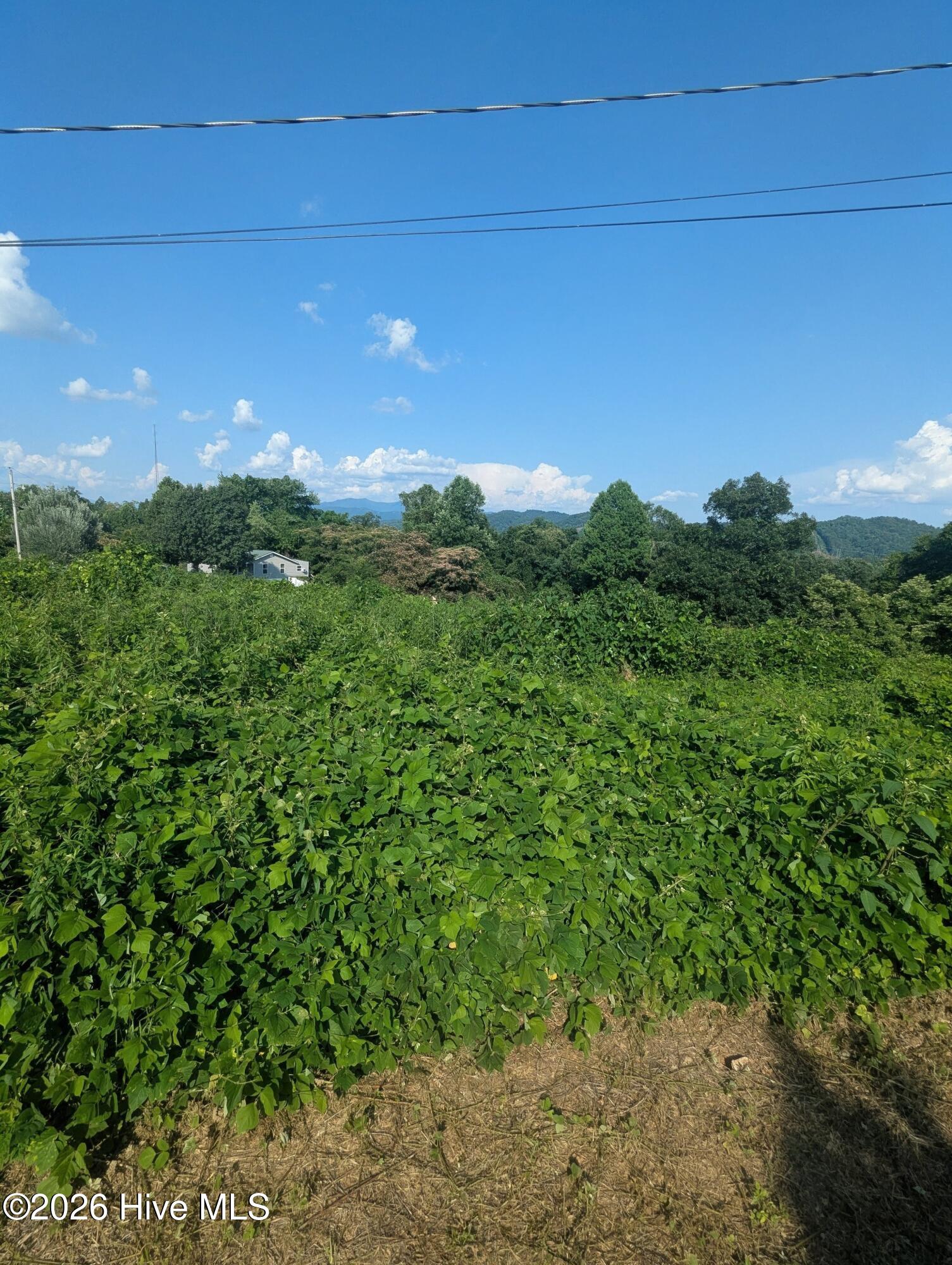 Land in Murphy 2