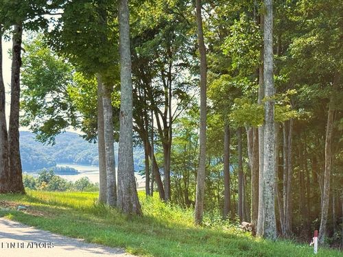 41B Bald Eagle Rd, Hilham, TN, 38568-3500 | Card Image