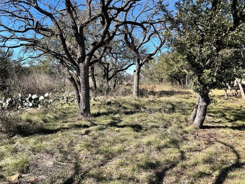 TBD Lot 240 Feather Bay Drive, Brownwood, TX, 76801 | Card Image