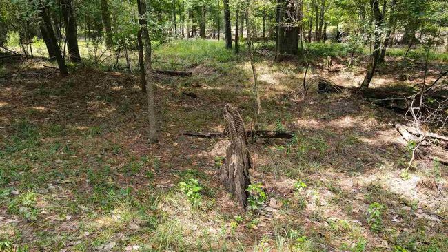 000 Highway 96 Byp, Home with 0 bedrooms, 0 bathrooms and null parking in Silsbee TX | Image 26