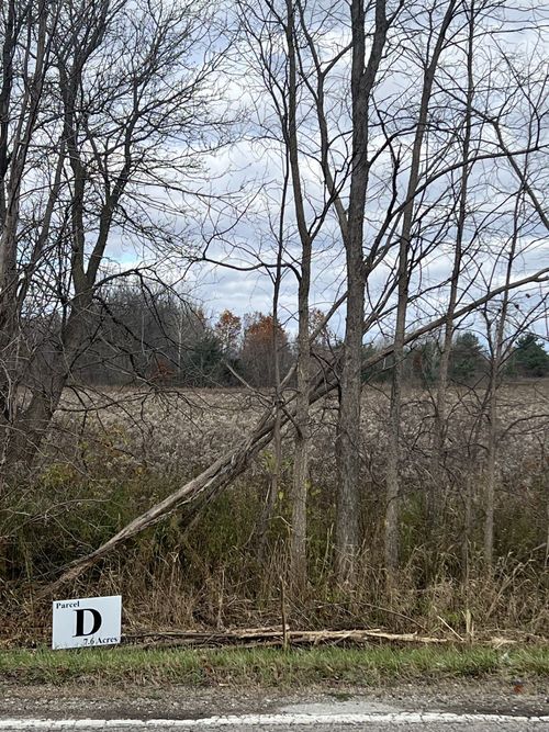 VL Davis Lake Rd. Road, Mayfield Township, MI, 48446 | Card Image