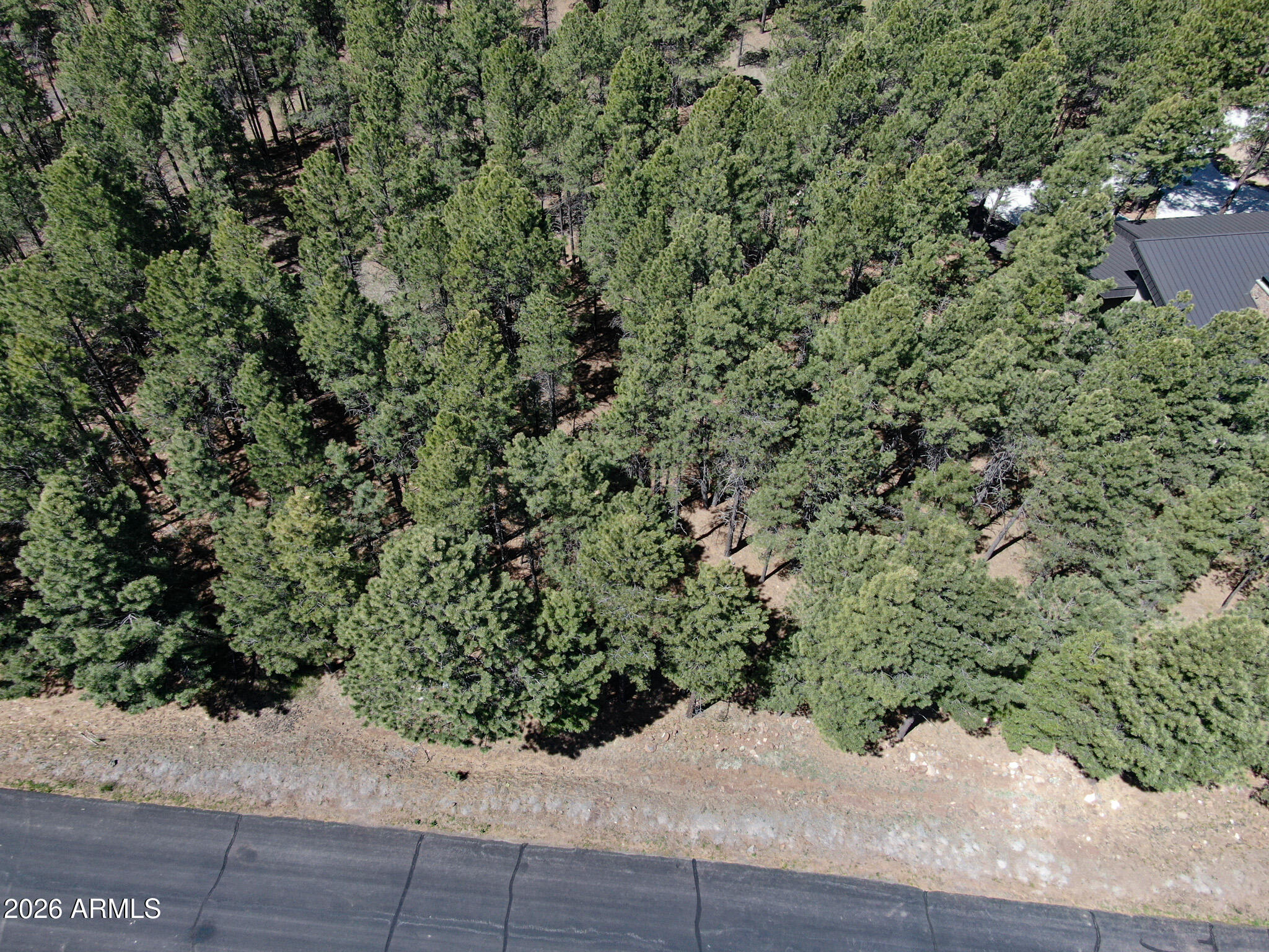 Land in Flagstaff 3