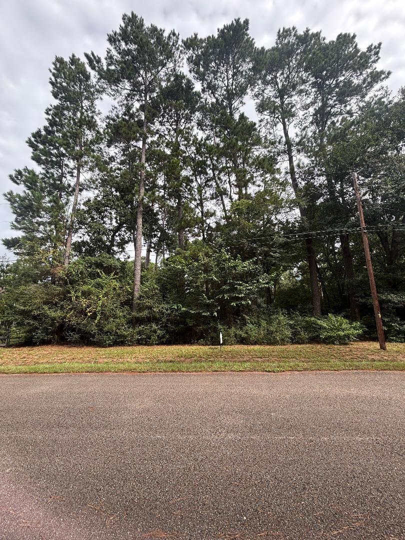 Land in Magnolia 2