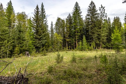 37 Soaring Eagle Trail, Fortine, MT, 59918 | Card Image