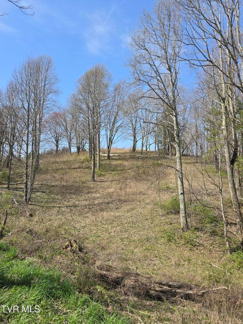 000 Walnut Mountain Rd, Roan Mountain, TN, 37687 | Card Image