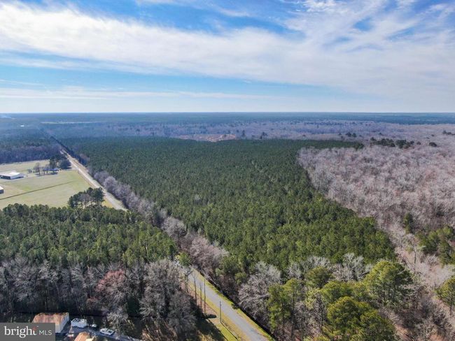 0 Follow Ditch Rd, Home with 0 bedrooms, 0 bathrooms and null parking in PRINCESS ANNE MD | Image 6