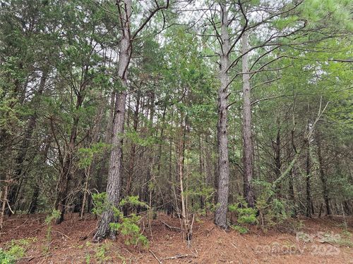 000 Cemetary St, Fort Lawn, SC, 29714 | Card Image