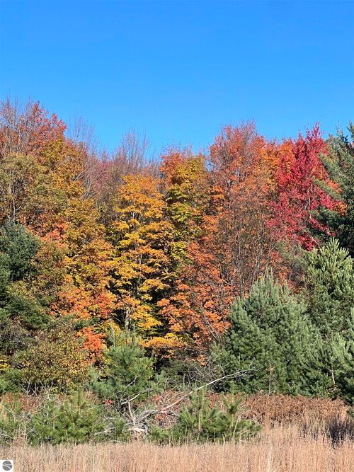 247 Blue Heron Dr Se, Kalkaska, MI, 49646-7602 | Card Image