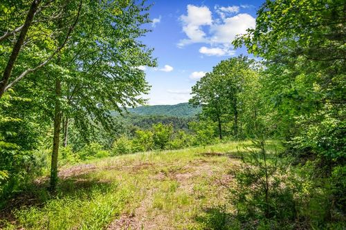 Lt 379 Dream Catcher, Blue Ridge, GA, 30513 | Card Image