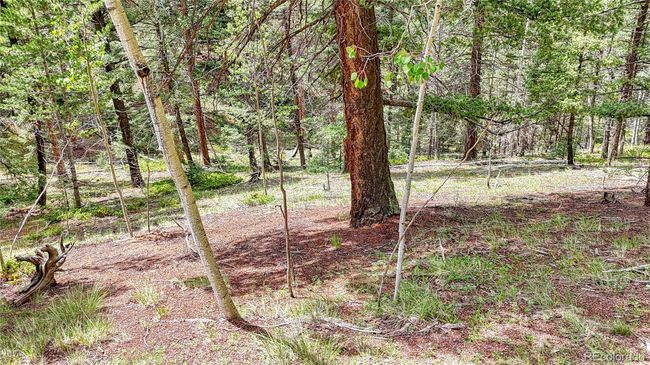 94 Mariposa Cir, Home with 0 bedrooms, 0 bathrooms and null parking in Cripple Creek CO | Image 18