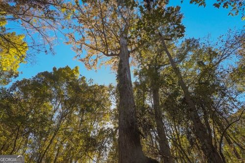 tract-3-3 E Old Savannah Rd, Millen, GA, 30442 | Card Image