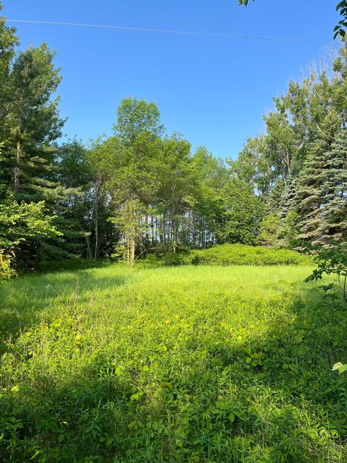 TBD Wild Rose Trl, Frazee, MN, 56544 | Card Image