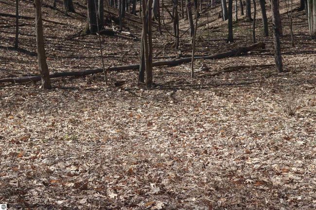 lot 22 Crystal Ridge Dr, Home with 0 bedrooms, 0 bathrooms and null parking in Beulah MI | Image 8