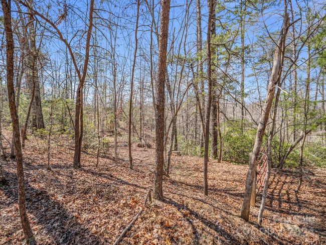 21-24-AND-25 - 000 Forester Ln, Home with 0 bedrooms, 0 bathrooms and null parking in Mill Spring NC | Image 8