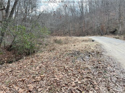 Rt 64 Upton Creek Road, Spurlockville, WV, 25565 | Card Image