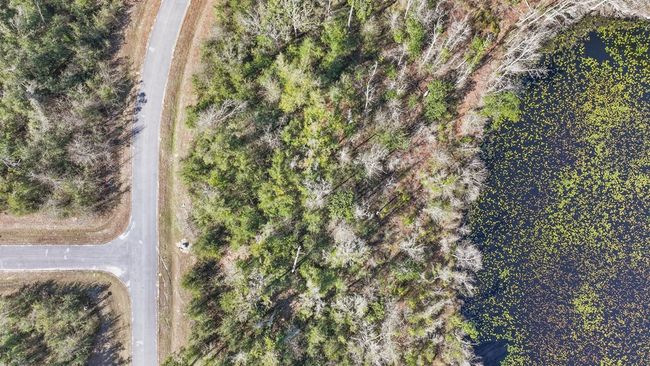 7 Seven Springs Dr, Home with 0 bedrooms, 0 bathrooms and null parking in Wewahitchka FL | Image 7