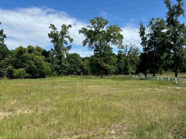 View of local wilderness | Image 6