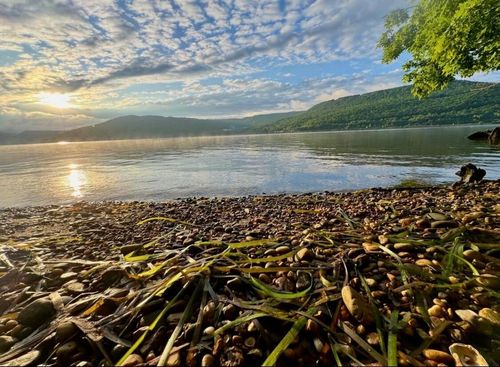 0 Admiral Ct, Jasper, TN, 37347 | Card Image