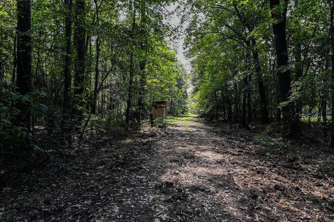 0 Highway 105, Home with 0 bedrooms, 0 bathrooms and null parking in Hull TX | Image 9