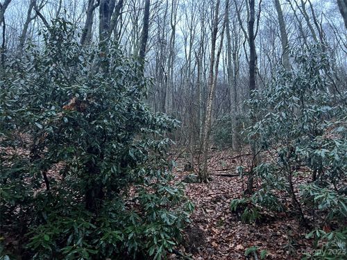 18-00 Wildflower Cove Dr, Swannanoa, NC, 28778 | Card Image