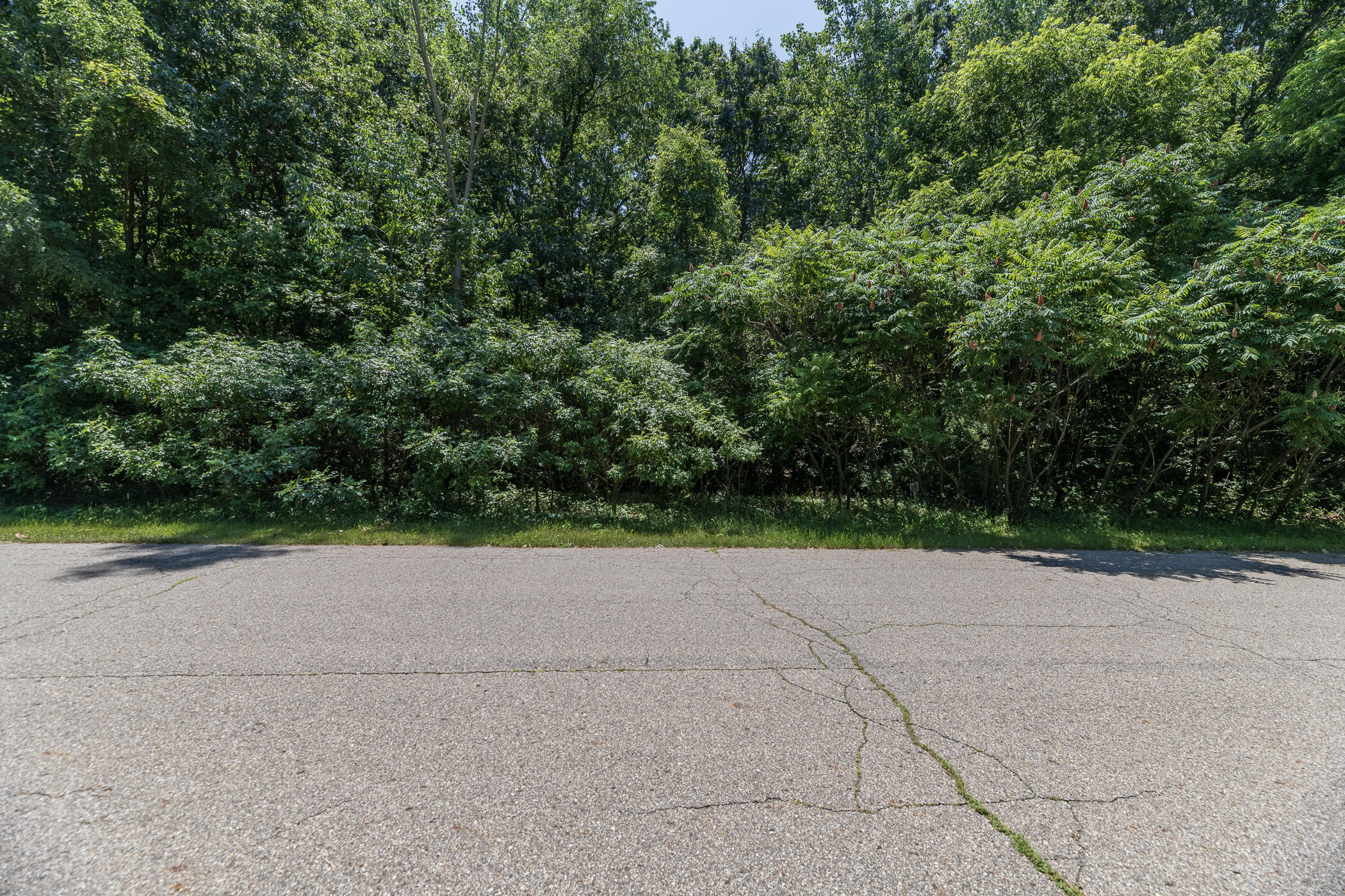 Land in Kalamazoo 4