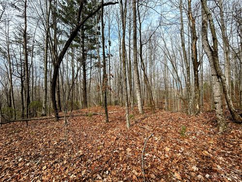 Lot 14 Rhododendron Dr, Saluda, NC, 28773 | Card Image