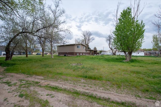 View of yard | Image 31