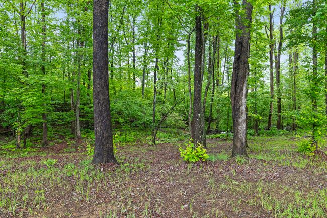 7258 Grey Hawk Trl, House other with 4 bedrooms, 3 bathrooms and null parking in Signal Mountain TN | Image 45