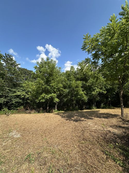 0 Rustling Oaks Ct, Pleasant View, TN, 37146 | Card Image