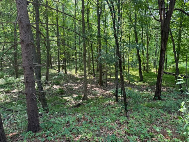 6458 Richardson Rd, Home with 0 bedrooms, 0 bathrooms and null parking in Howell MI | Image 23