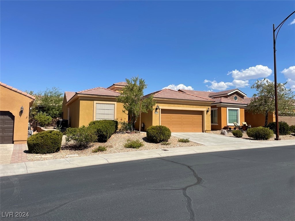 Bull Whip Pt, Mesquite, NV 89034