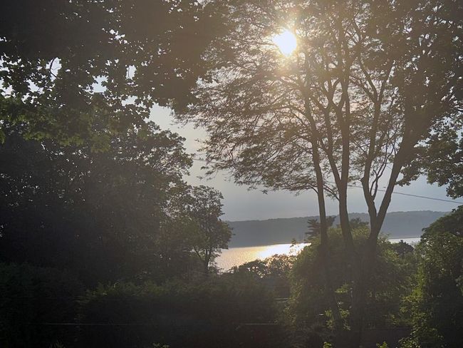 Sunset river view | Image 26