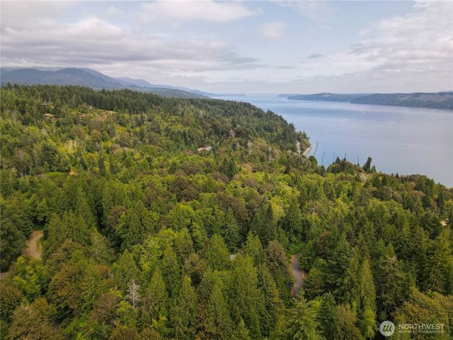 51 N Trail Head Loop, Home with 0 bedrooms, 0 bathrooms and null parking in Lilliwaup WA | Image 11