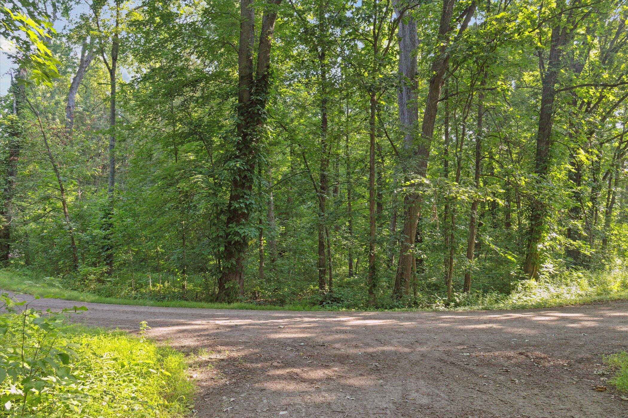 Land in Belmont 5