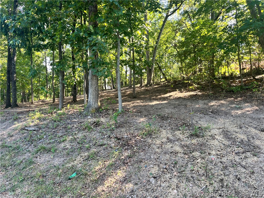 Land in Lake Ozark 4