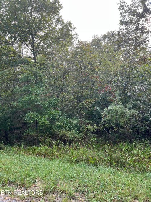 2029 Winnebago Dr, Crossville, TN, 38572 | Card Image
