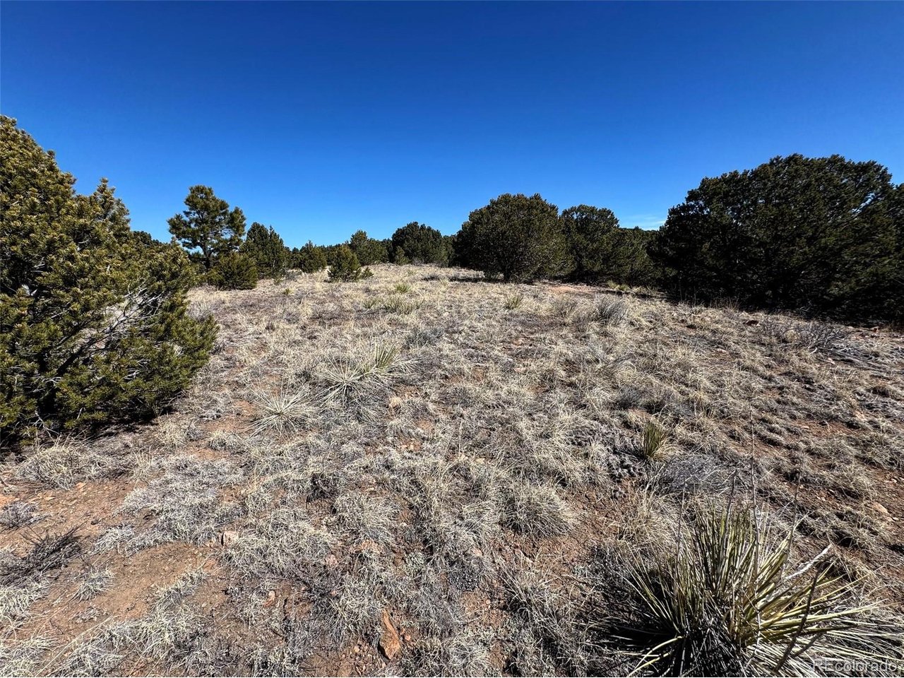 Land in Westcliffe 2
