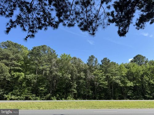 Lots 76, 76B and 76C Lankford Highway, Accomac, VA, 23301 | Card Image