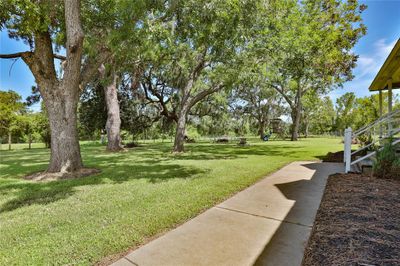 Walk to Front Door / Beautiful trees shade the yard | Image 3