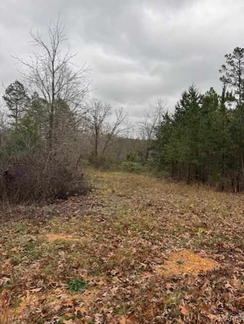 9290 Splitlimb Rd, Raymondville, MO, 65555-9152 | Card Image