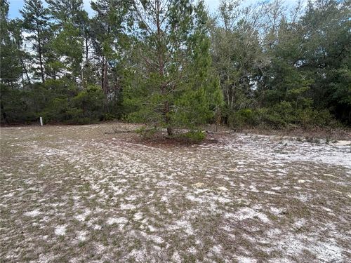 101 Quail Acre Rd, POMONA PARK, FL, 32181 | Card Image