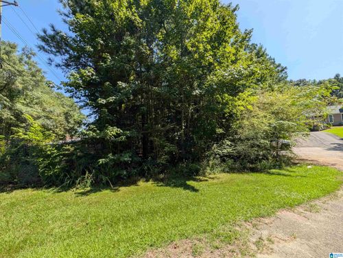 1-and-2-25 Lynngate Circle, Cropwell, AL, 35054 | Card Image
