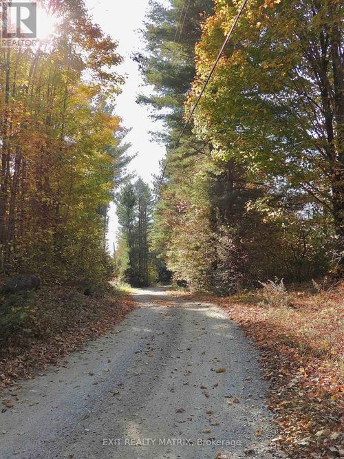 Lot 1 Woodland Park Drive, Frontenac (Frontenac Centre), ON, K0H1B0 | Card Image
