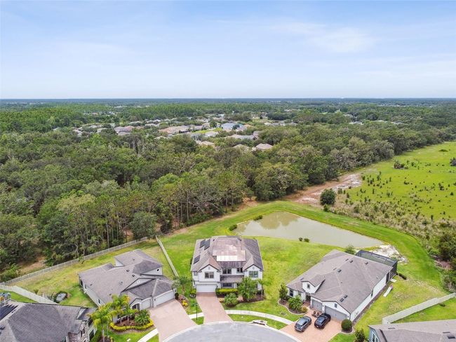 10701 Morning Dew Way, House other with 7 bedrooms, 6 bathrooms and null parking in TAMPA FL | Image 78