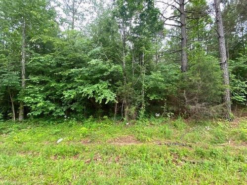 0 Red Bud Cir, Big Sandy, TN, 38221 | Card Image